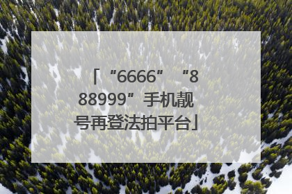 “6666”“888999”手机靓号再登法拍平台