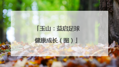 玉山：益启足球 健康成长（图）