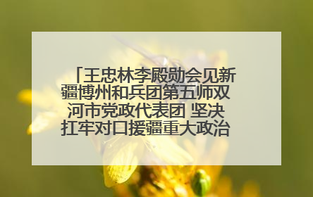 王忠林李殿勋会见新疆博州和兵团第五师双河市党政代表团 坚决扛牢对口援疆重大政治责任 推动双方实现优势互补务实合作