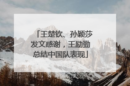 王楚钦、孙颖莎发文感谢，王励勤总结中国队表现