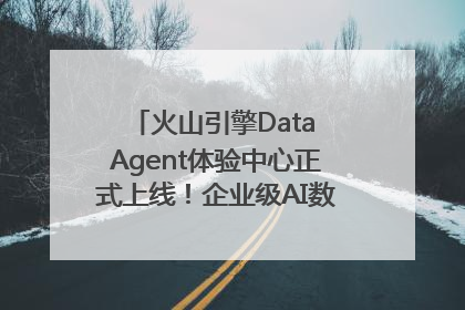 火山引擎Data Agent体验中心正式上线！企业级AI数据专家触手可及