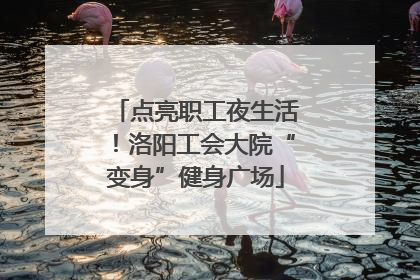 点亮职工夜生活！洛阳工会大院“变身”健身广场