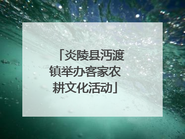 炎陵县沔渡镇举办客家农耕文化活动