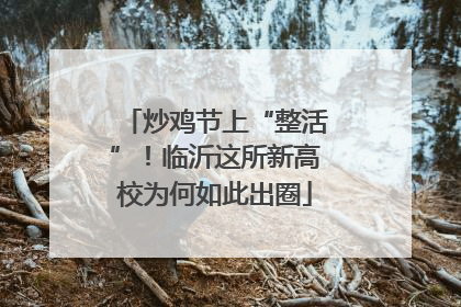 炒鸡节上“整活”！临沂这所新高校为何如此出圈