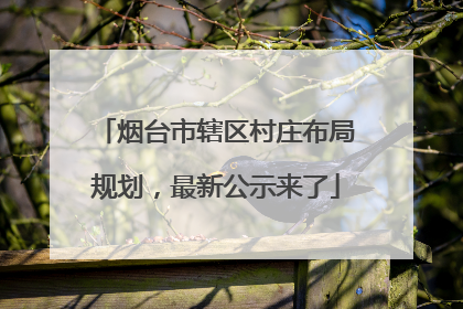 烟台市辖区村庄布局规划，最新公示来了