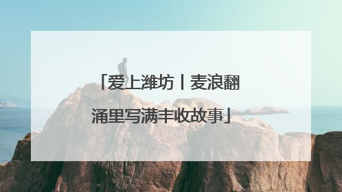 爱上潍坊丨麦浪翻涌里写满丰收故事