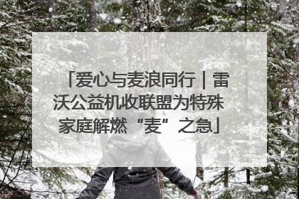 爱心与麦浪同行｜雷沃公益机收联盟为特殊家庭解燃“麦”之急