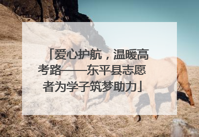 爱心护航，温暖高考路——东平县志愿者为学子筑梦助力