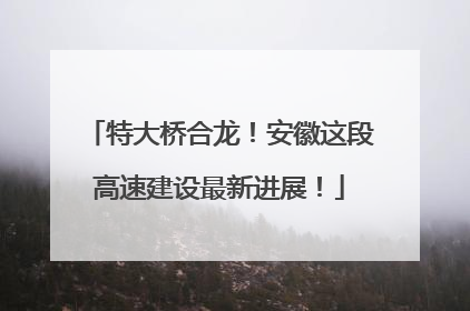 特大桥合龙！安徽这段高速建设最新进展！