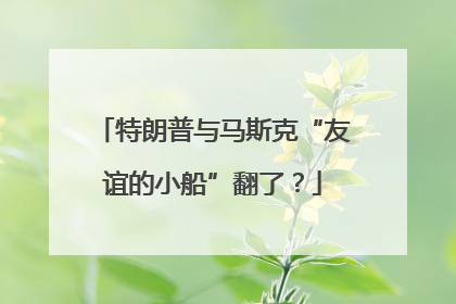 特朗普与马斯克“友谊的小船”翻了？
