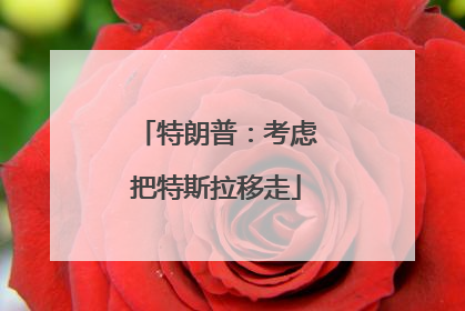 特朗普：考虑把特斯拉移走