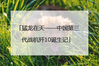 猛龙在天——中国第三代战机歼10诞生记