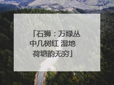 石狮：万绿丛中几树红 湿地荷塘韵无穷