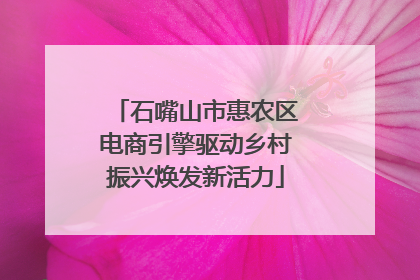 石嘴山市惠农区电商引擎驱动乡村振兴焕发新活力