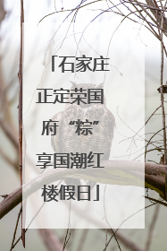 石家庄正定荣国府“粽”享国潮红楼假日