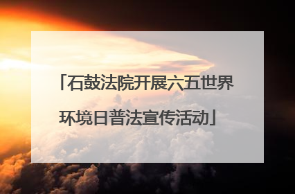 石鼓法院开展六五世界环境日普法宣传活动