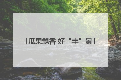 瓜果飘香 好“丰”景