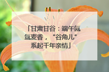 甘肃甘谷：端午氤氲麦香，“谷角儿”系起千年亲情