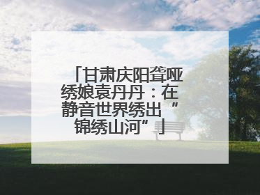 甘肃庆阳聋哑绣娘袁丹丹：在静音世界绣出“锦绣山河”