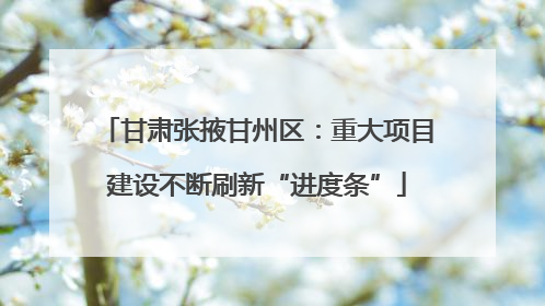 甘肃张掖甘州区：重大项目建设不断刷新“进度条”