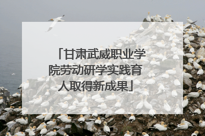 甘肃武威职业学院劳动研学实践育人取得新成果