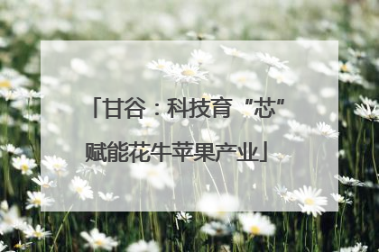 甘谷：科技育“芯”赋能花牛苹果产业
