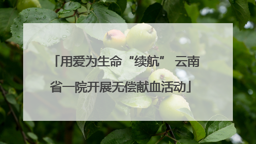 用爱为生命“续航” 云南省一院开展无偿献血活动