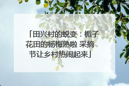 田兴村的蜕变：栀子花田的杨梅熟啦 采摘节让乡村热闹起来