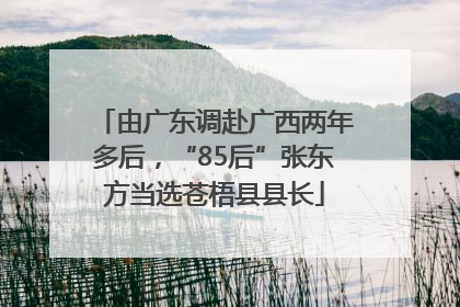 由广东调赴广西两年多后，“85后”张东方当选苍梧县县长