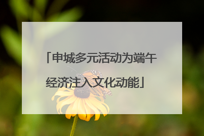 申城多元活动为端午经济注入文化动能