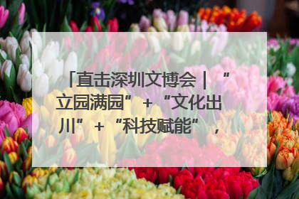 直击深圳文博会｜“立园满园”+“文化出川”+“科技赋能”，成都传媒发布三大文创领域合作清单