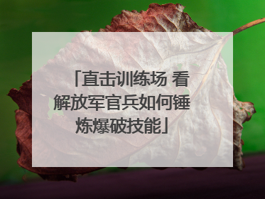 直击训练场 看解放军官兵如何锤炼爆破技能