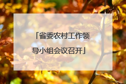 省委农村工作领导小组会议召开