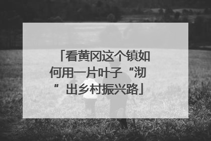 看黄冈这个镇如何用一片叶子“沏”出乡村振兴路