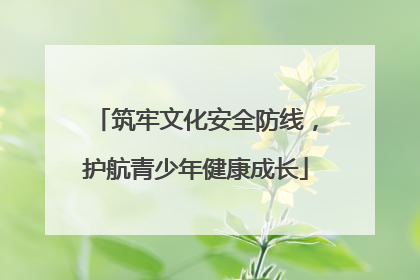 筑牢文化安全防线，护航青少年健康成长