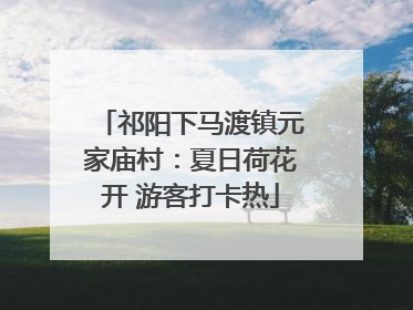 祁阳下马渡镇元家庙村：夏日荷花开 游客打卡热