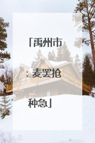 禹州市：麦罢抢种急