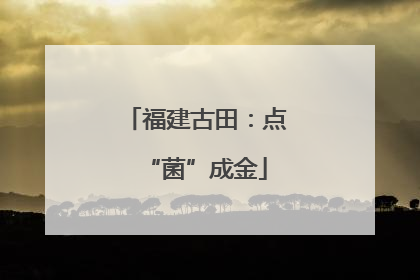 福建古田：点“菌”成金