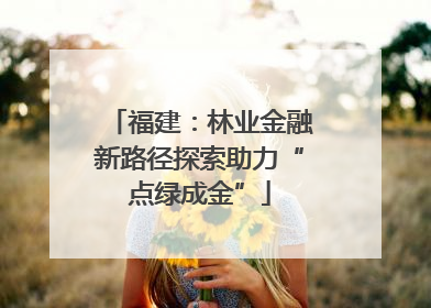 福建：林业金融新路径探索助力“点绿成金”