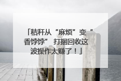 秸秆从“麻烦”变“香饽饽” 打捆回收这波操作太赚了！