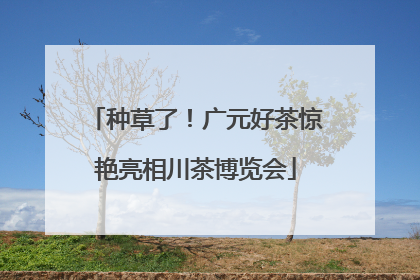 种草了！广元好茶惊艳亮相川茶博览会