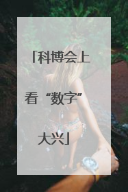 科博会上看“数字”大兴
