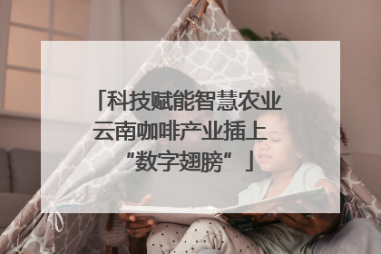 科技赋能智慧农业 云南咖啡产业插上“数字翅膀”