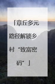 章丘多元路径解锁乡村“致富密码”