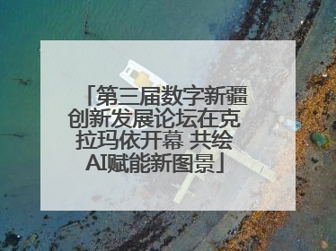 第三届数字新疆创新发展论坛在克拉玛依开幕 共绘AI赋能新图景