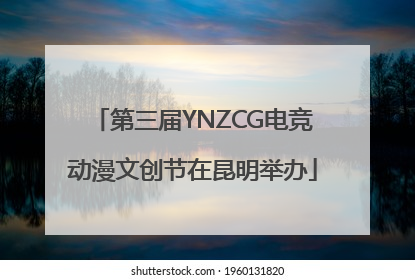 第三届YNZCG电竞动漫文创节在昆明举办