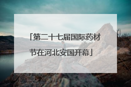 第二十七届国际药材节在河北安国开幕