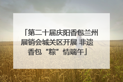第二十届庆阳香包兰州展销会城关区开展 非遗香包“粽”情端午
