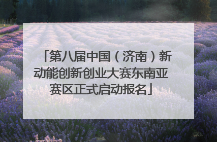 第八届中国（济南）新动能创新创业大赛东南亚赛区正式启动报名