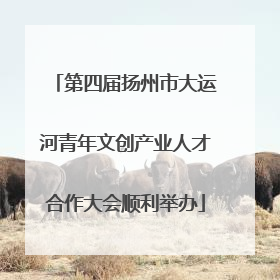 第四届扬州市大运河青年文创产业人才合作大会顺利举办